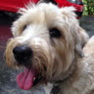 Meet your Posher, Jaynie